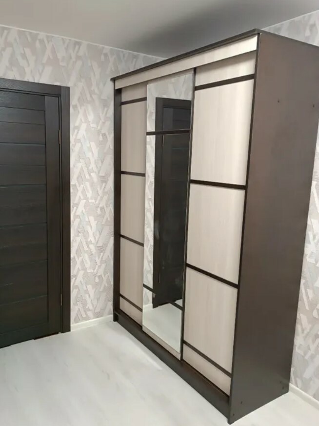 Шкаф-купе Сакура